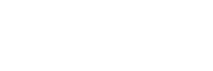 FlyZen